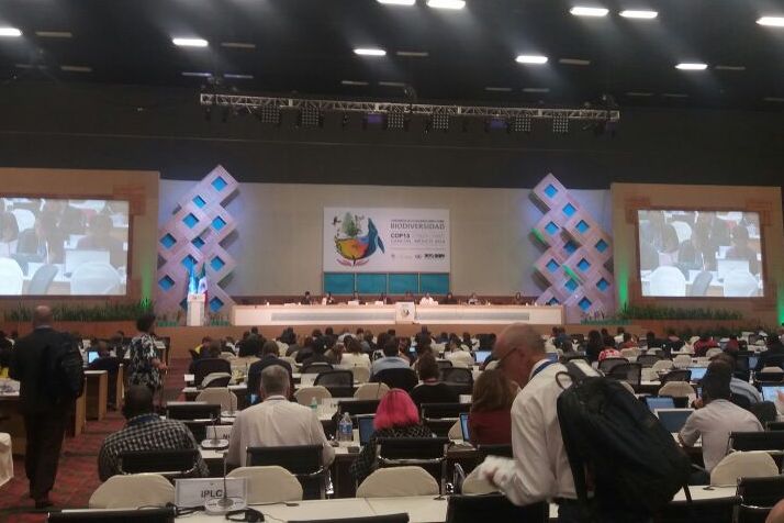 COP 13 COP 13
