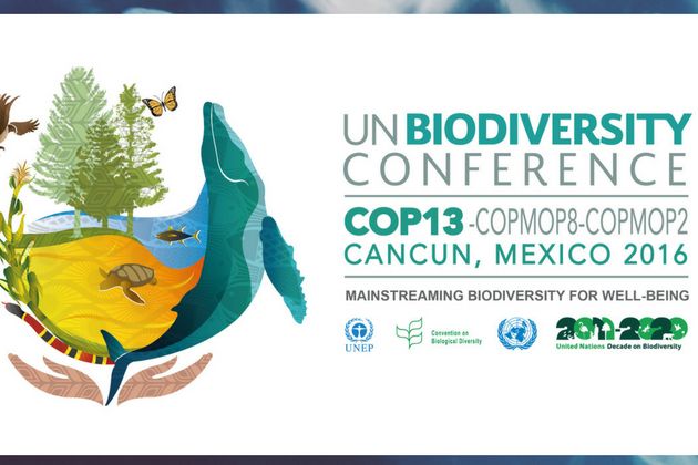 COP 13 COP 13