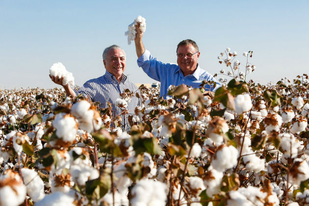 Michel Temer acompanhado do Ministro da Agricultura, Pecuária e Abastecimento, Blairo Maggi, durante a abertura da colheita do Algodão. Michel Temer acompanhado do Ministro da Agricultura, Pecuária e Abastecimento, Blairo Maggi, durante a abertura da colheita do Algodão.