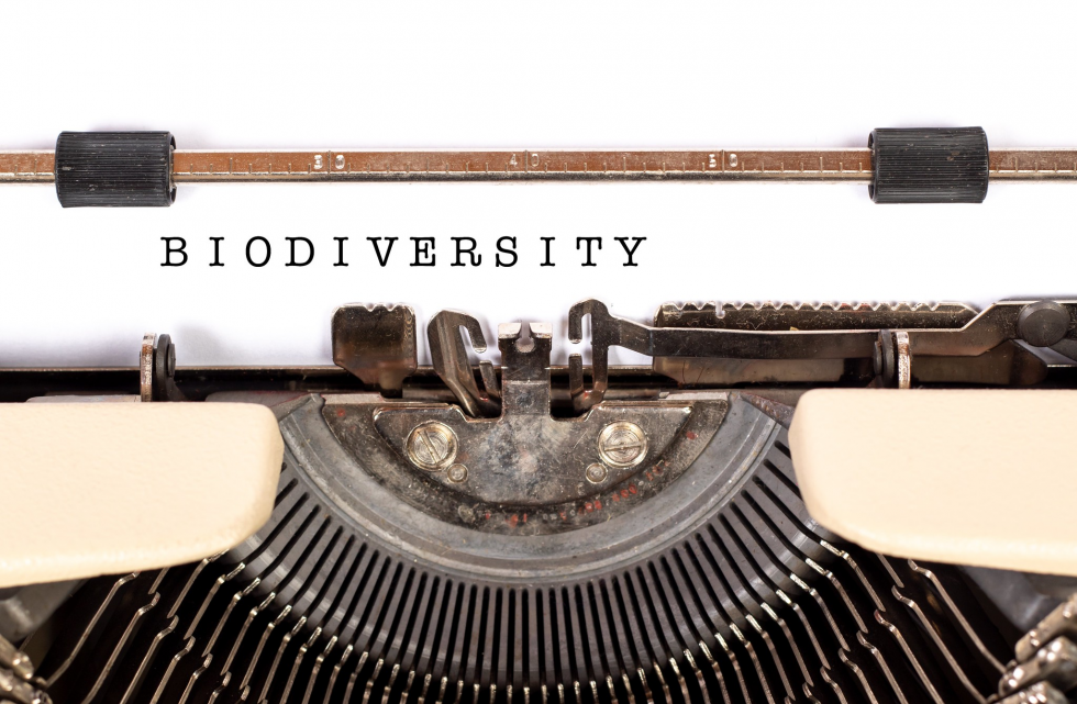 Biodiversidade Biodiversidade
